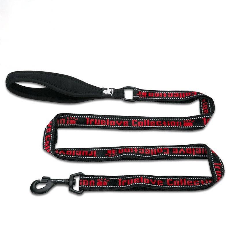 Explosion Proof Reflective Nylon Pet Leash