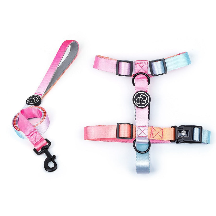 Gradient Dog Harness And Leash Set