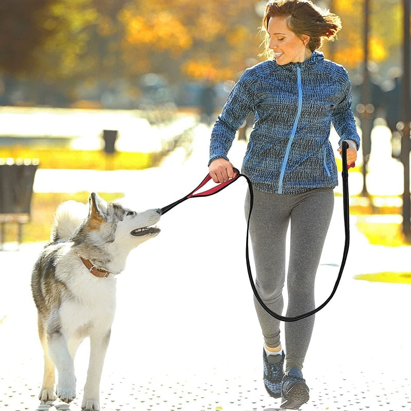 Heavy Duty Reflective Padded Dog Leash