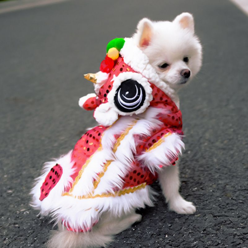 Lion Dance Dog Costume