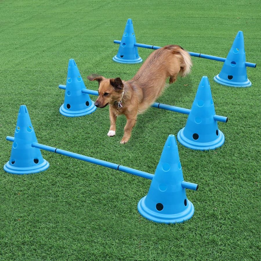 3 Set Dog Jumping Stakes