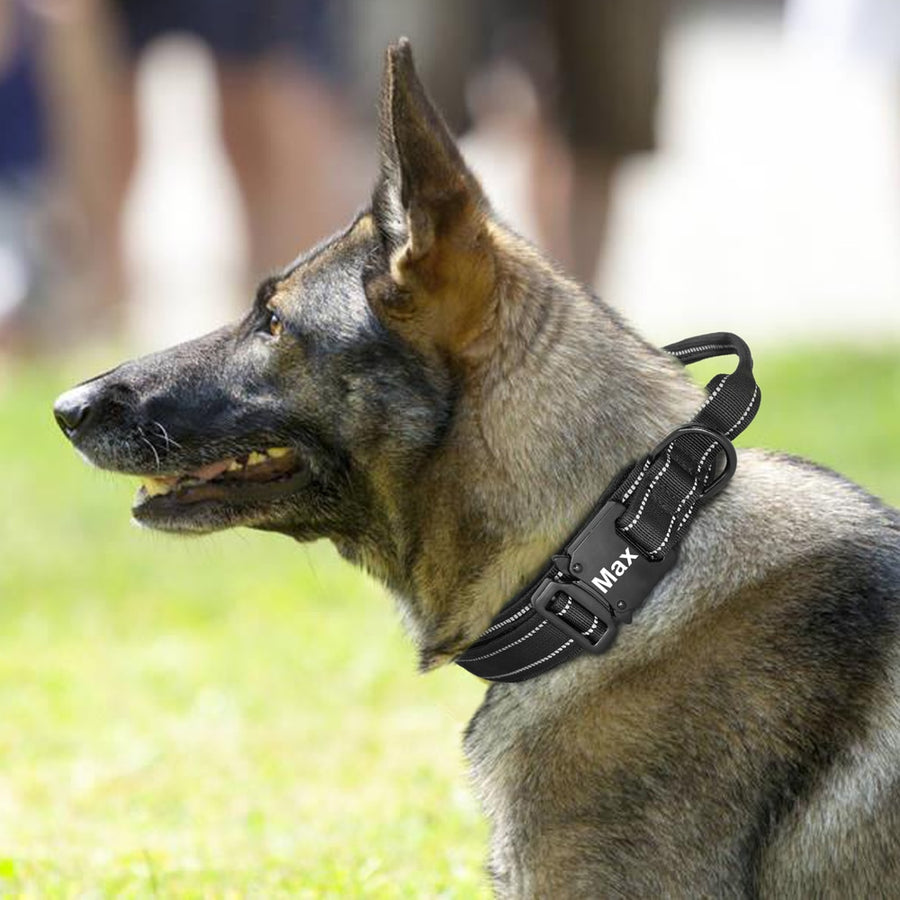 Black Military Tactical Dog Collar