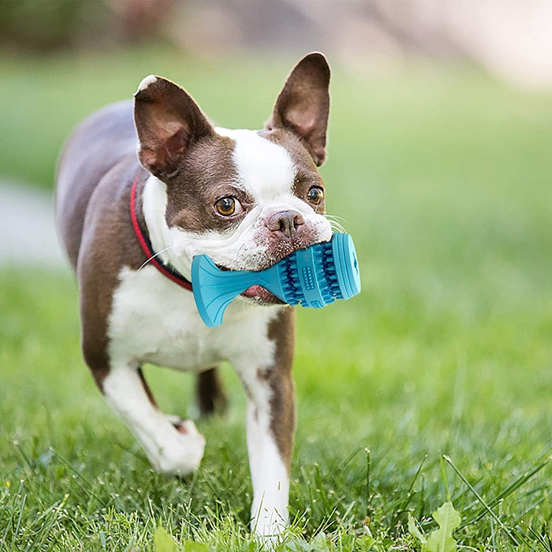 Sturdy Food Dispensing Dog Toy