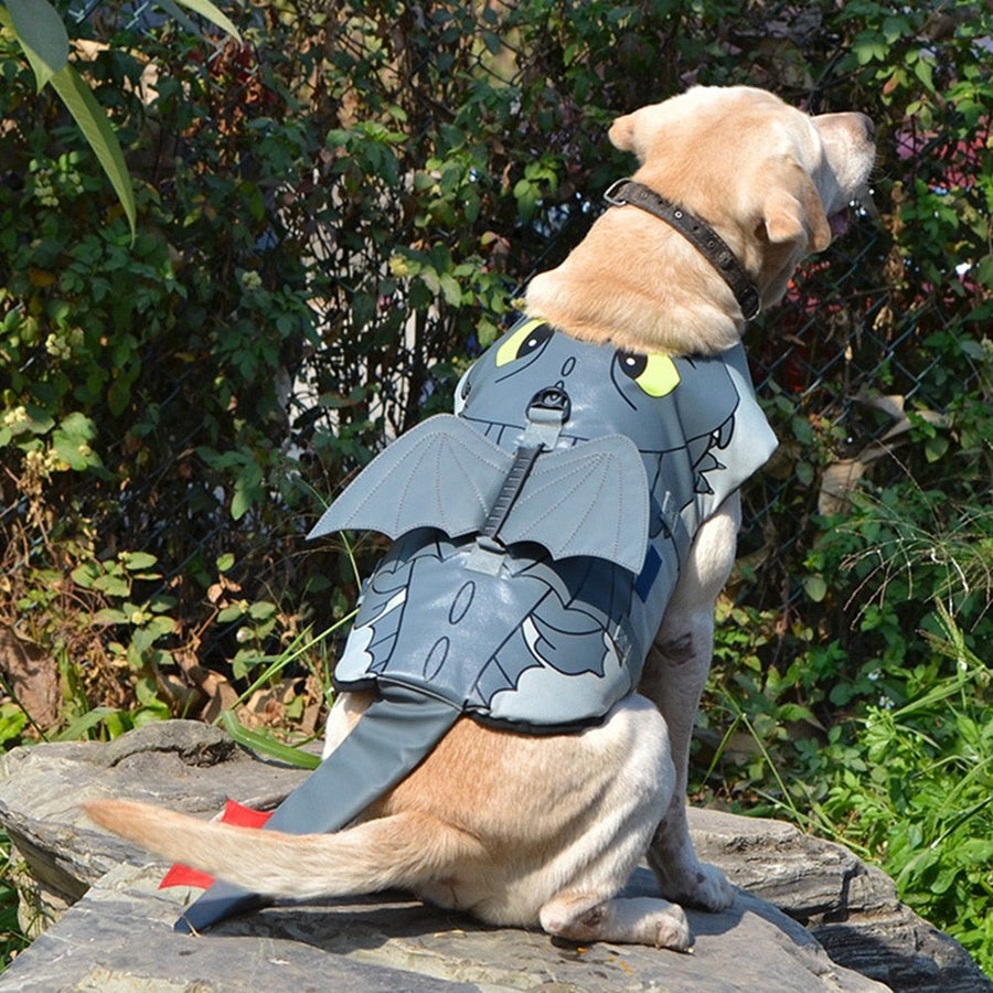 Dragon Design Dog Life Vest