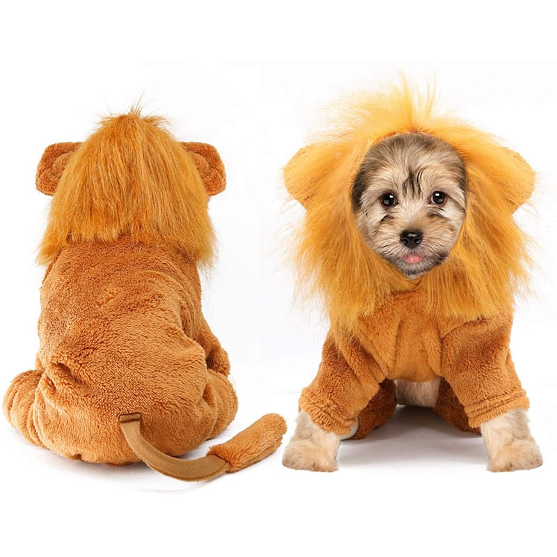 Halloween Party Cozy Lion Dog Cosplay