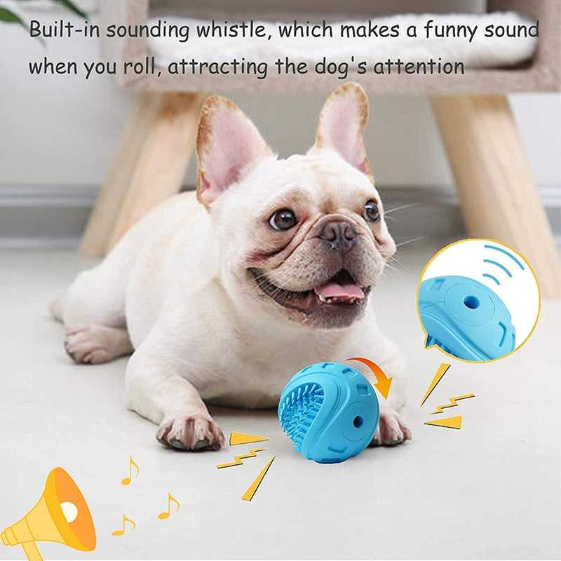 Rubber Floating Bouncy Pet Ball