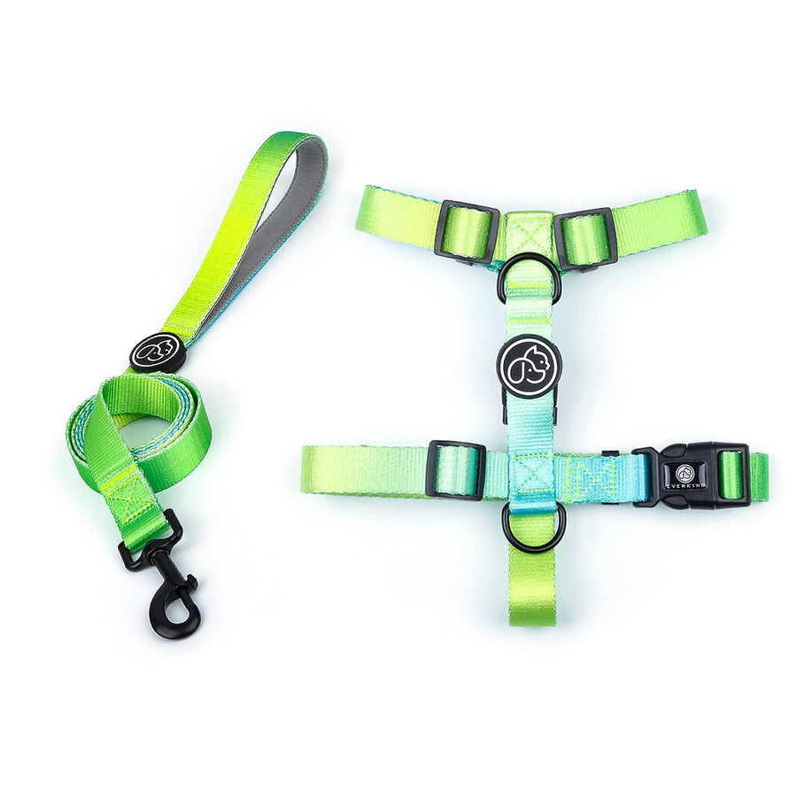 Gradient Dog Harness And Leash Set