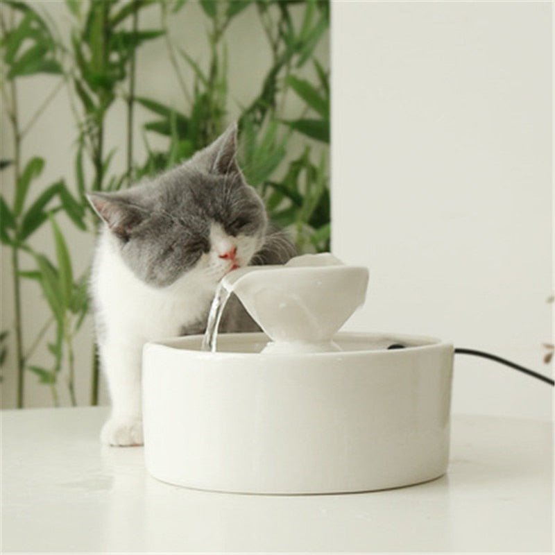 1L Premium Pet Water Fountain