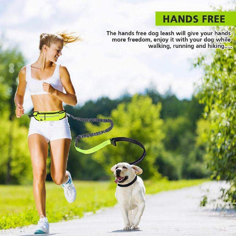 Handsfree Bungee Dog Leash With Pocket