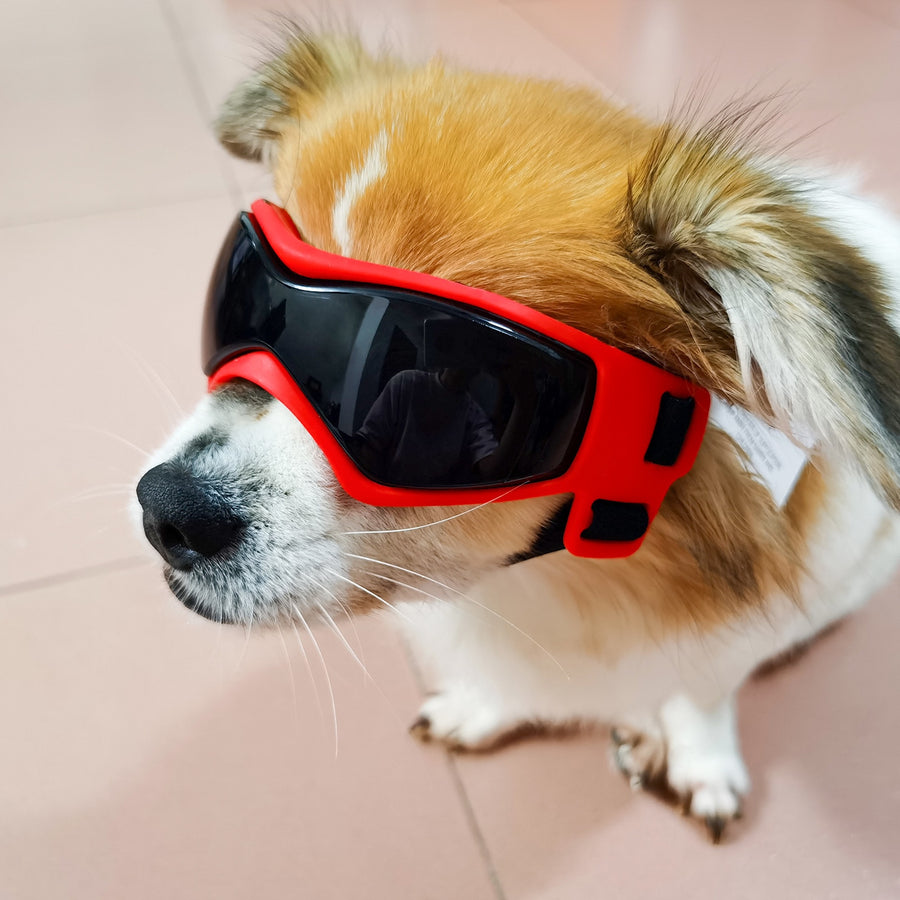 Anti UV Dog Protection Goggles