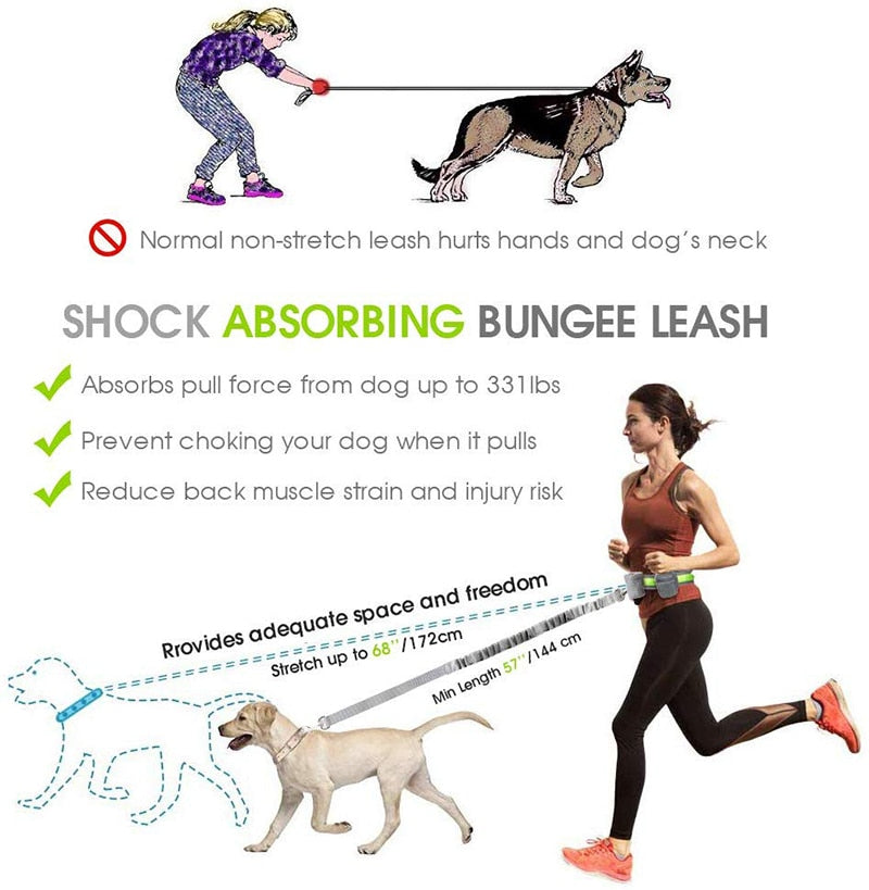 Handsfree Dog Leash With Two Storage Bags