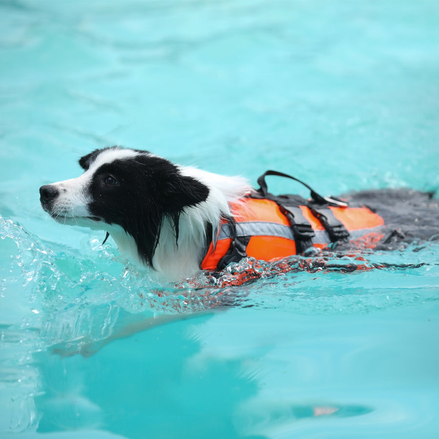 Summer Cooling Pet Dog Life Jacket