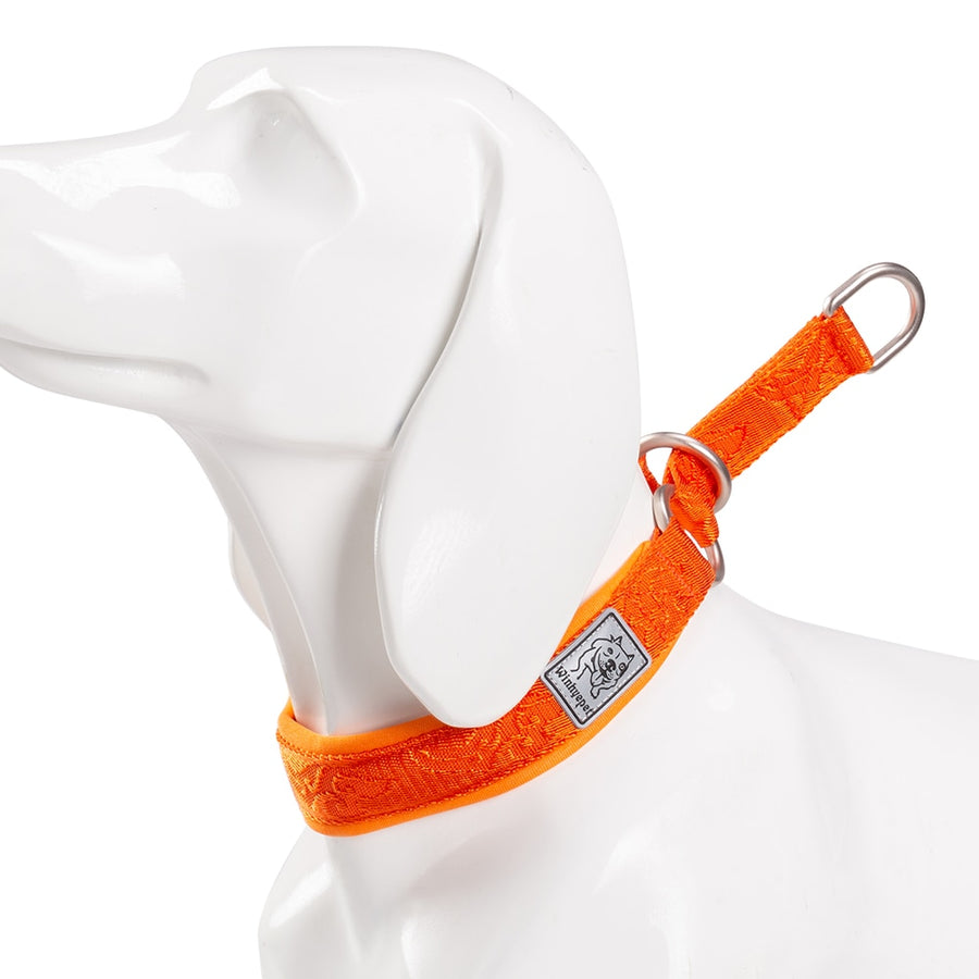 Nylon Webbing P-Chain Explosion Proof Dog Collar