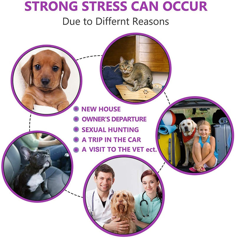 Effective Safe Calming Pet Collar