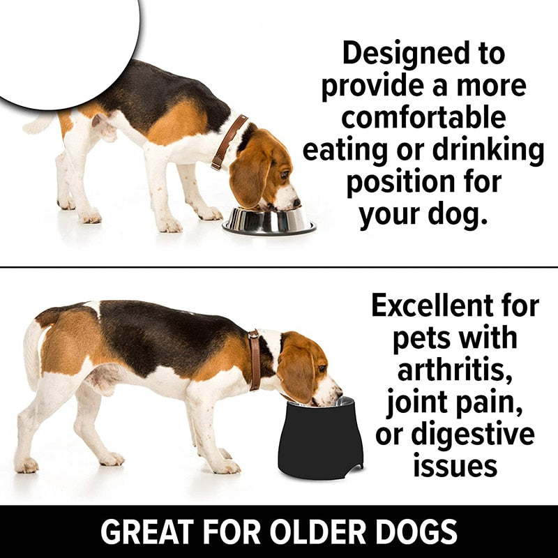 Premium Quality Elevated Dog Bowl