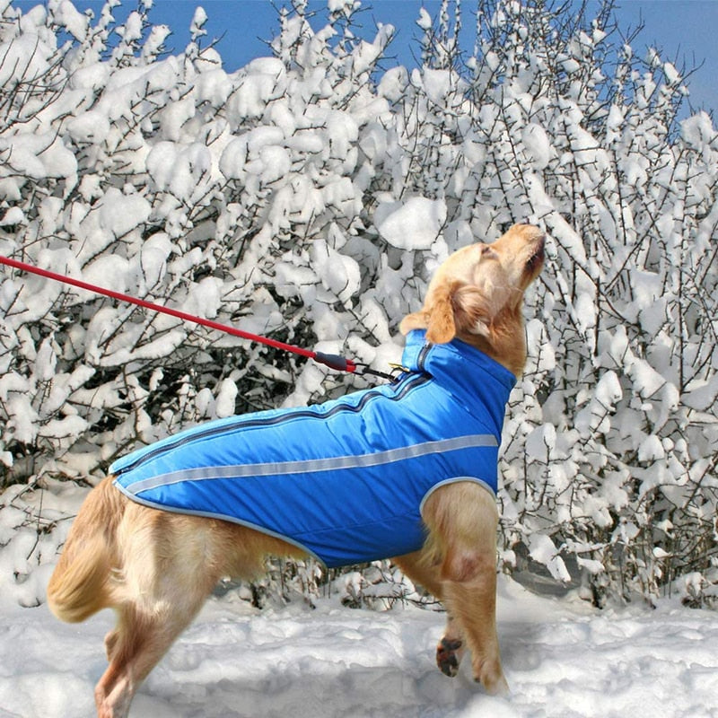 Windproof Fleece Winter Dog Snowsuit