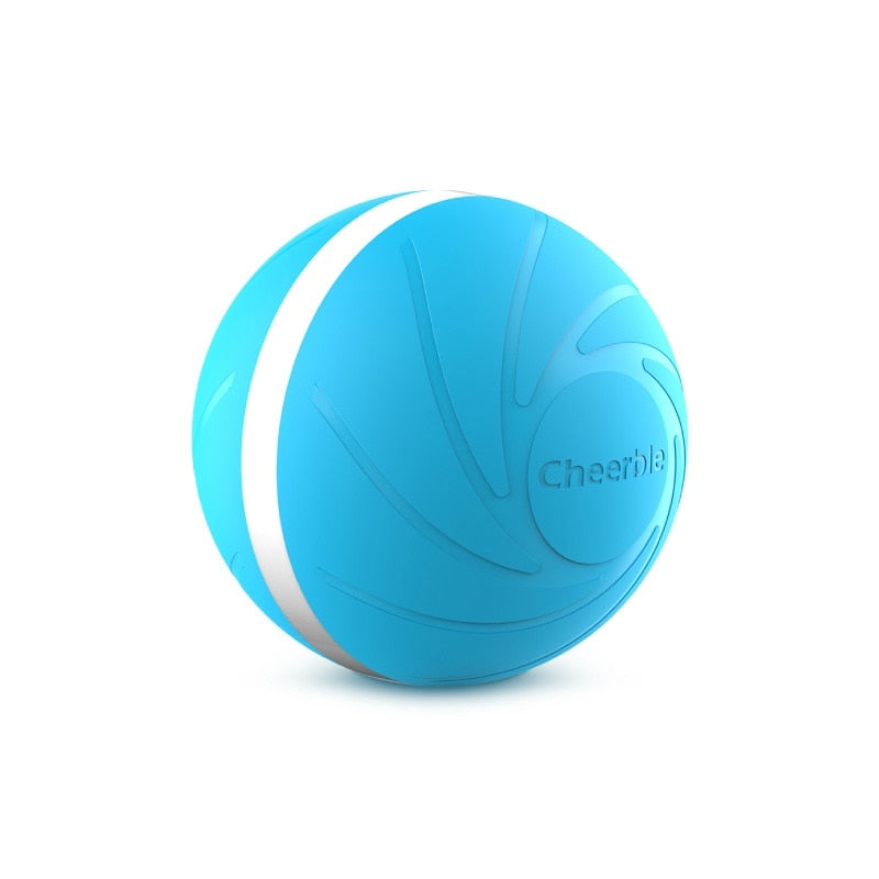 Smart Pet Toy Wicked Ball