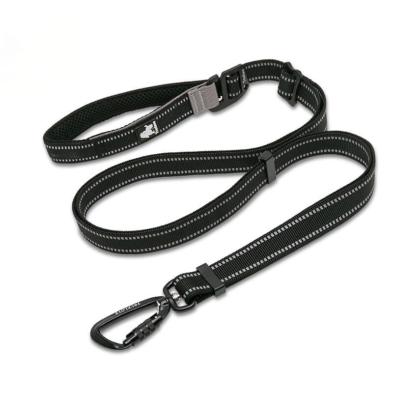 Hands Free Adjustable Nylon Dog Leash