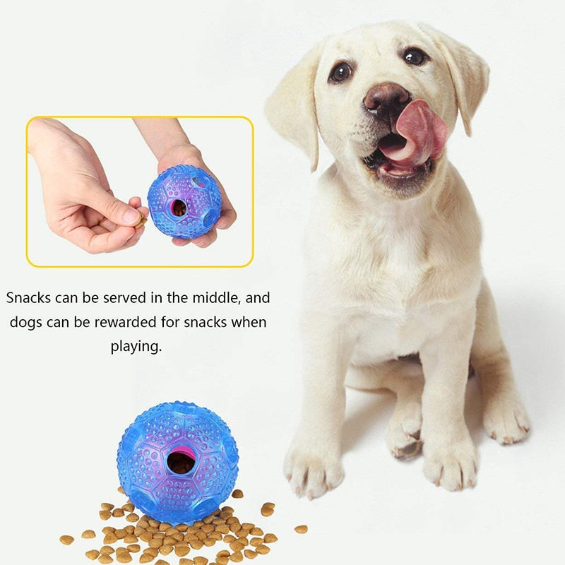 Durable Dog IQ Treat Toy Ball