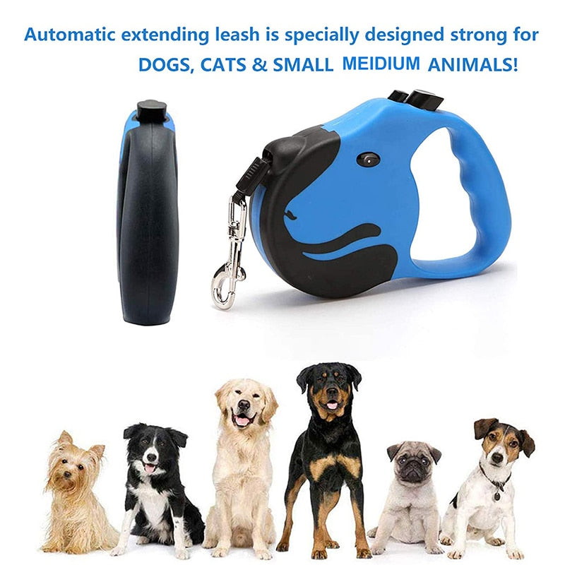 Fashion Automatic Retractable Dog Leash