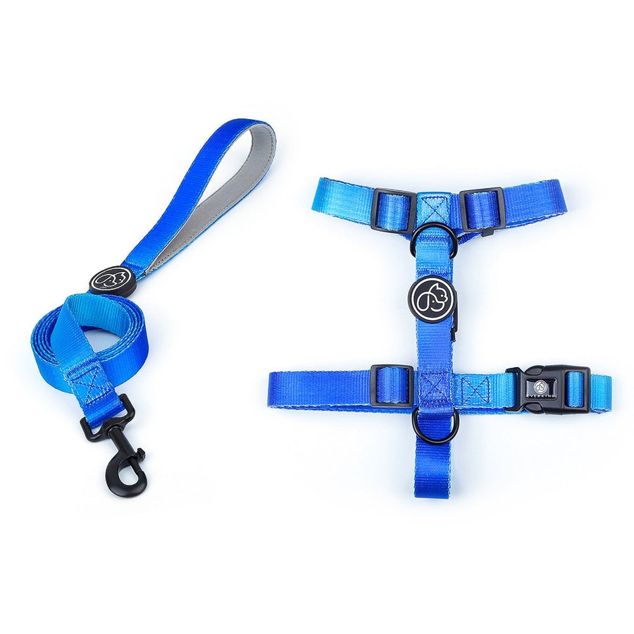 Gradient Dog Harness And Leash Set