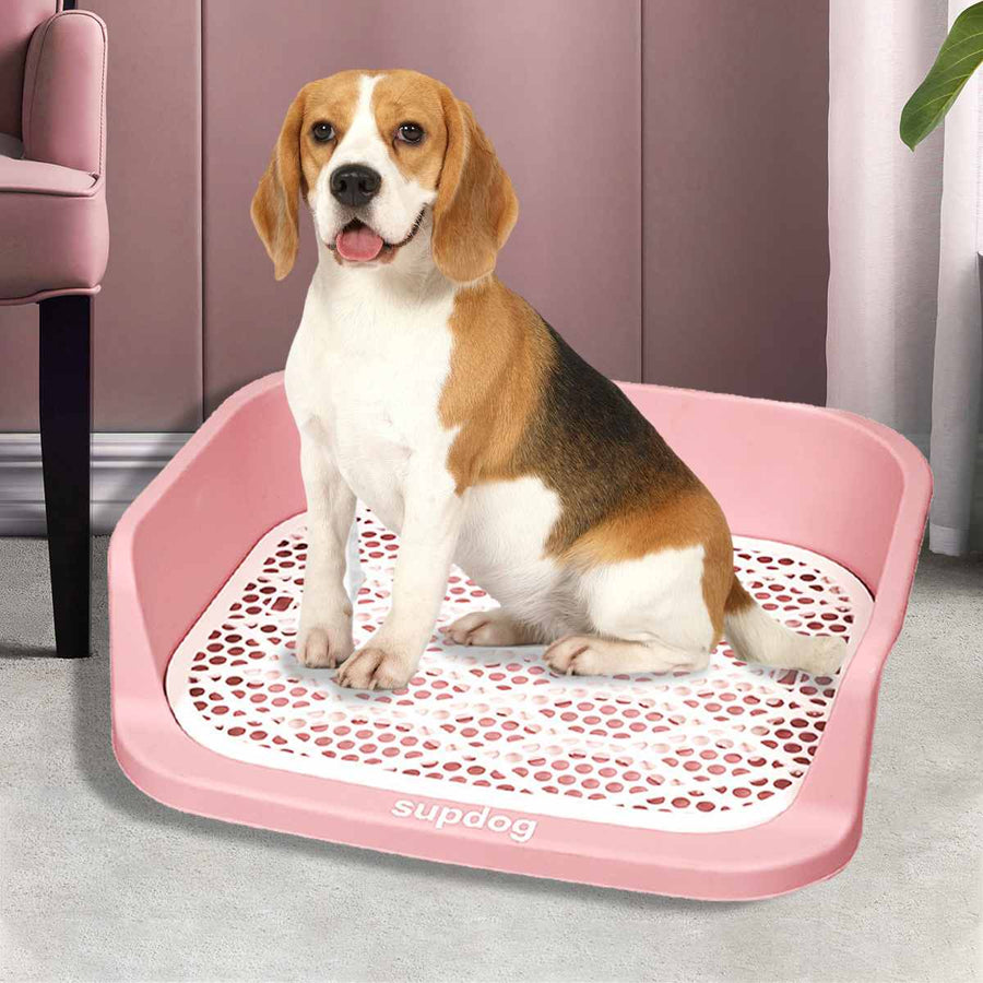 Dog Potty Tray With Protection Wall