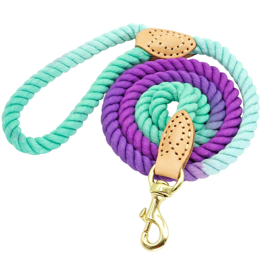 5ft Durable Nylon Dog Leash