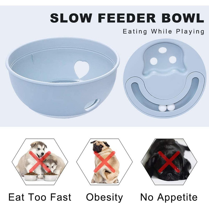 Entertaining 2 In 1 Dog Slow Feeding Bowl