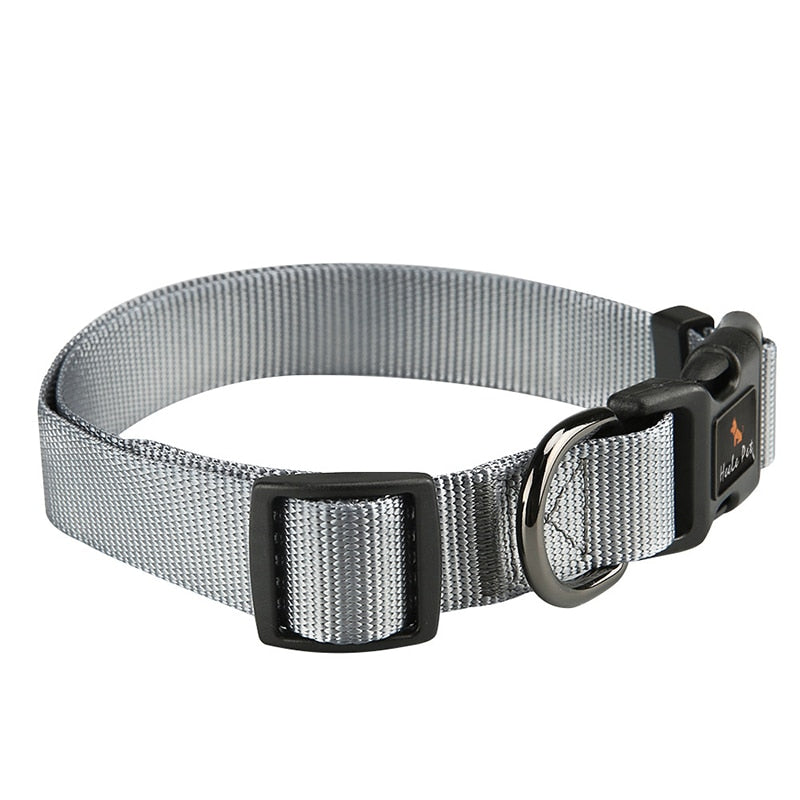 Safety Locked Buckle Dog Collar