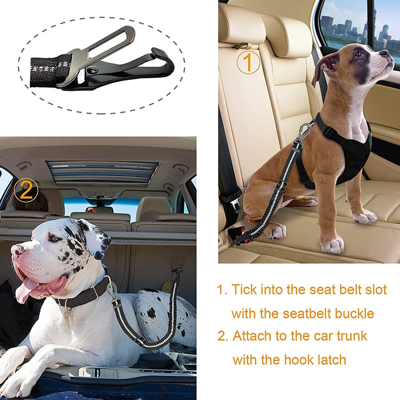 Enhanced Carabiner Dog Seat Belt Leash