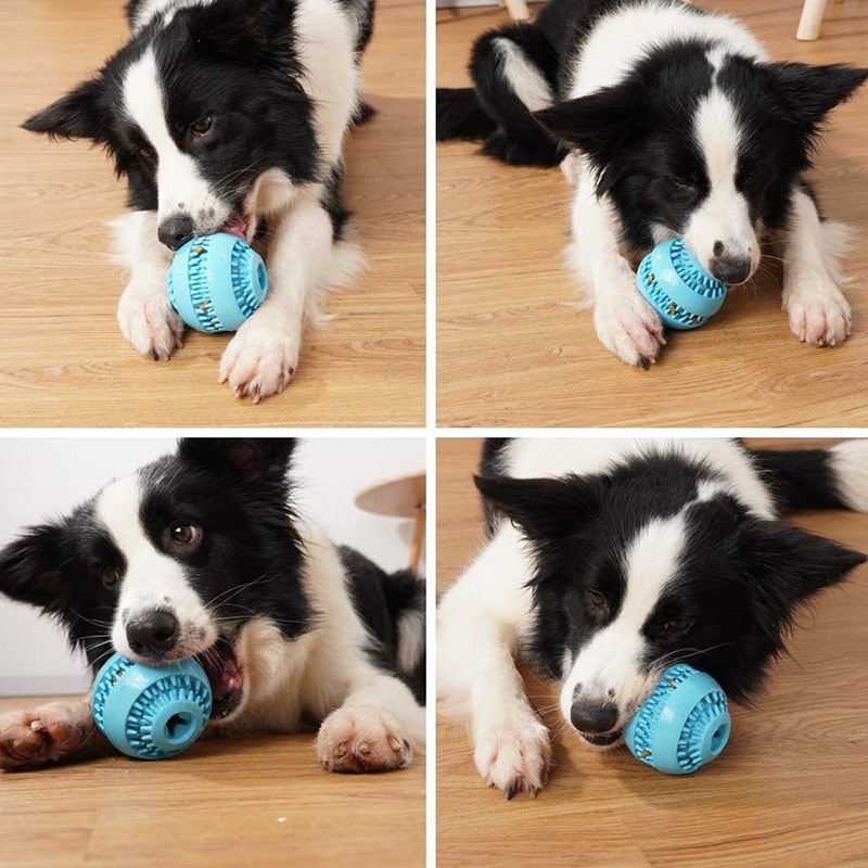 Natural Rubber Slow Feeding Dog Ball