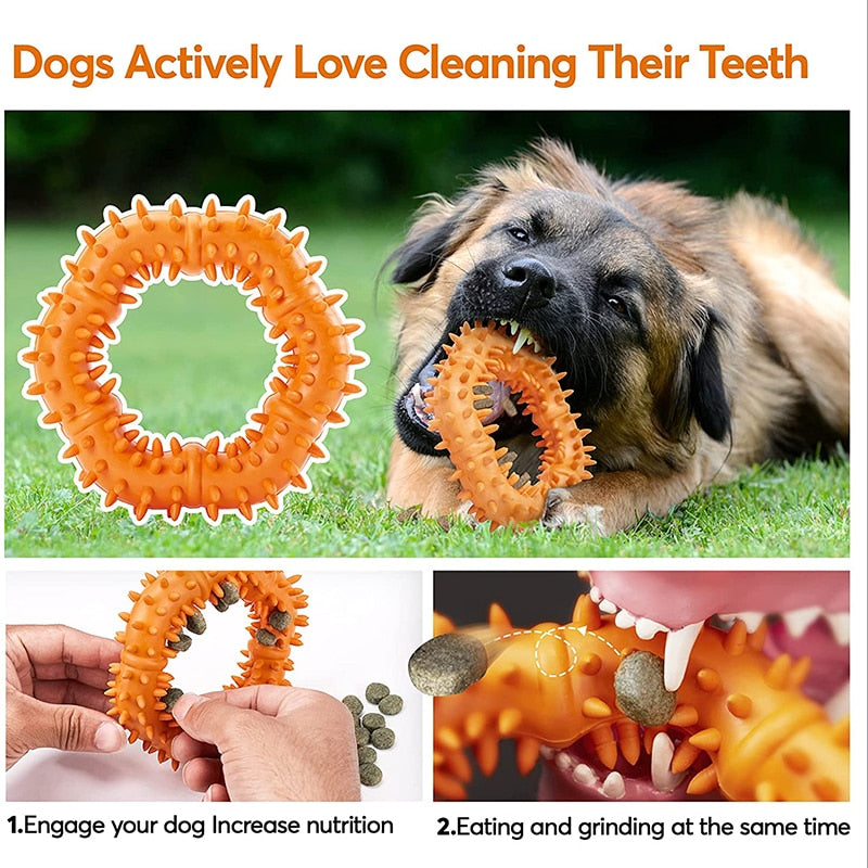 Tough Teeth Cleaning Dog Toys