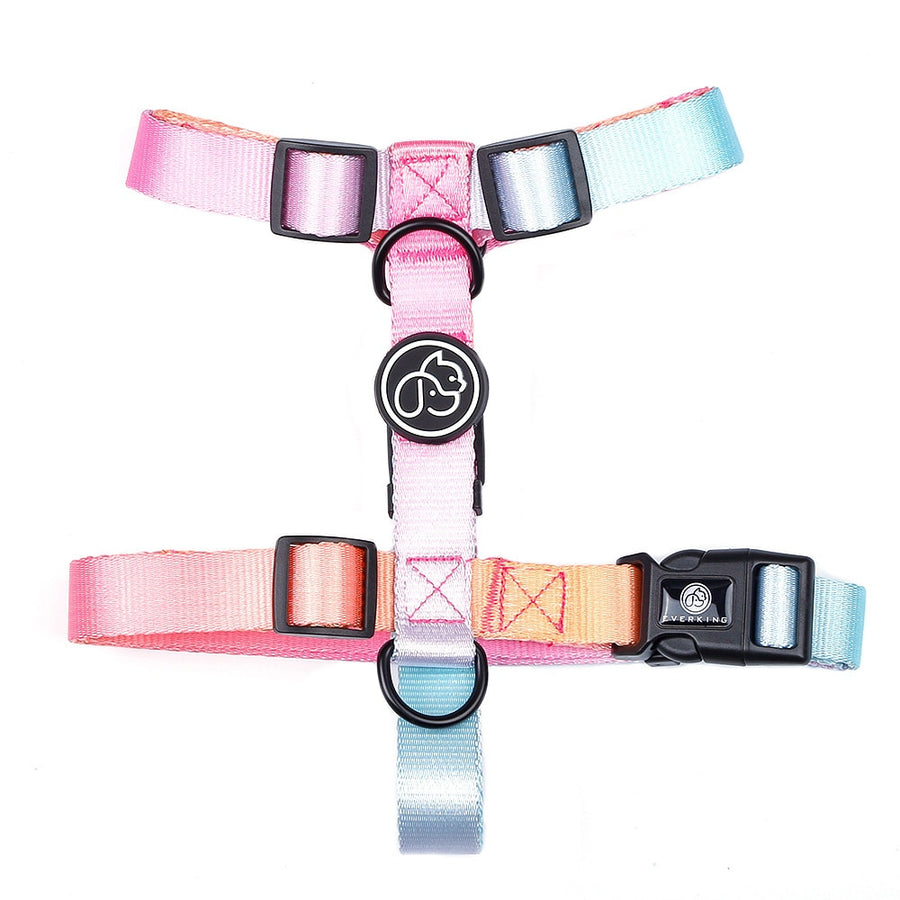 Gradient Dog Harness And Leash Set