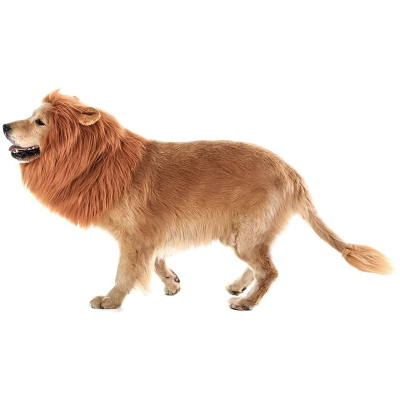 Halloween Dog Lion Costume