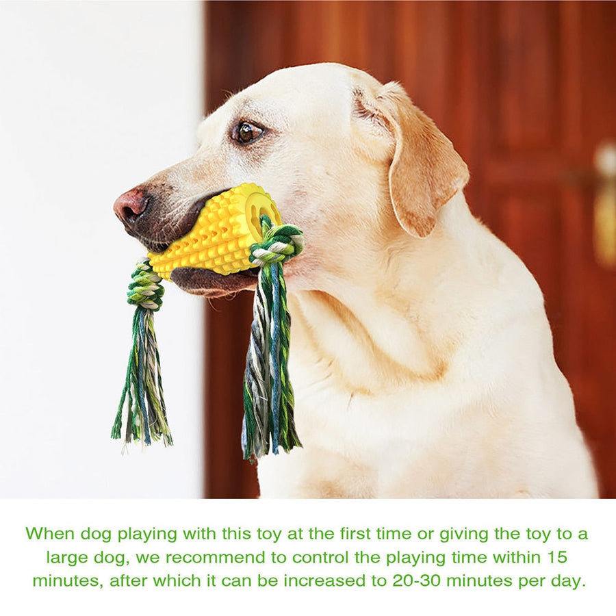 Durable Corn Dog Chew Toy