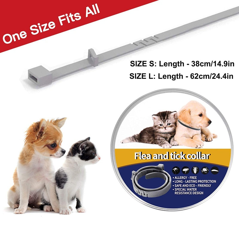 Pet Flea 8 Months Protection Collar