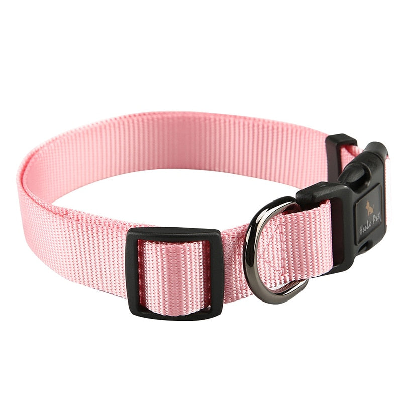 Safety Locked Buckle Dog Collar