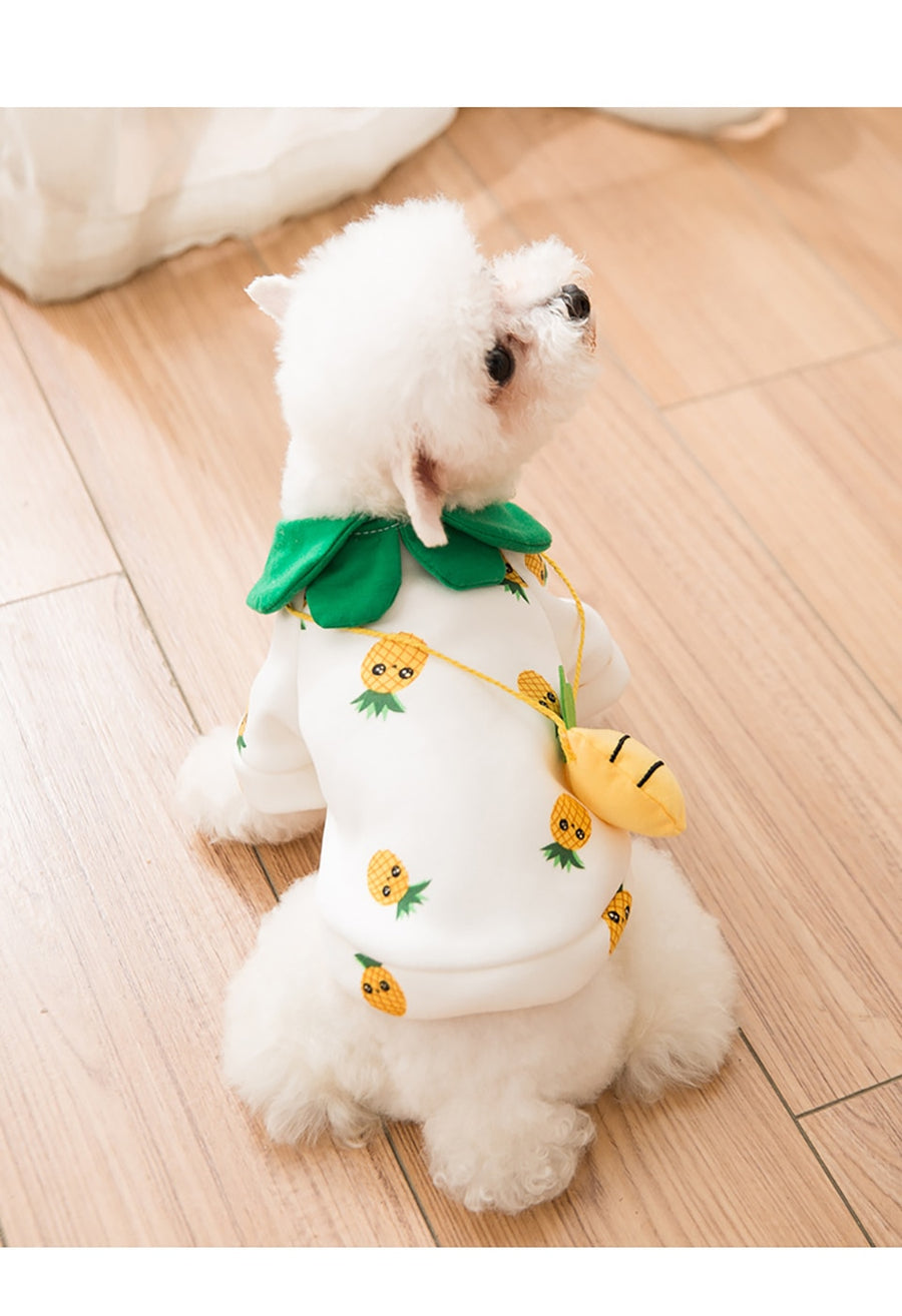 Autumn Pineapple Cute Dog Sweater