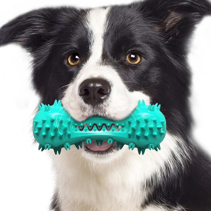 Durable Teeth Cleaning Dog Toys