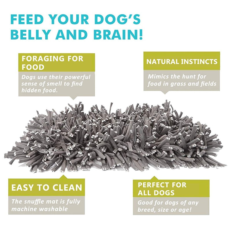 Foraging Skills Fun Dog Snuffle Mat