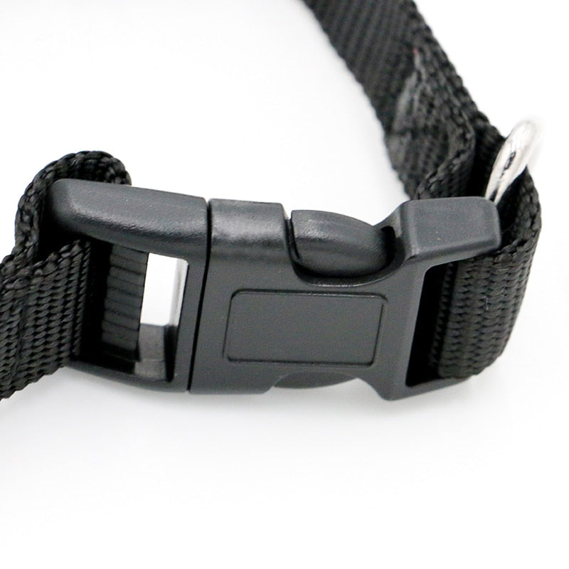 Corrosion Resistant Prong Dog Collar