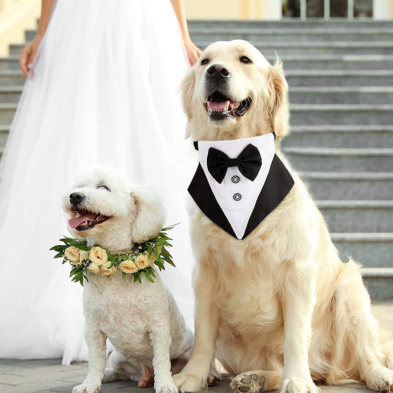 Bow Tie Dog Adjustable Tuxedo