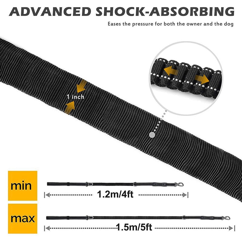 Advance Shock Absorbing Dog Leash