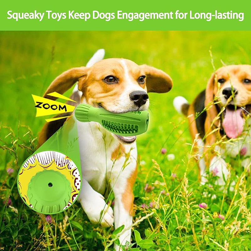 4 In 1 Squeaky Dog Chew Toy