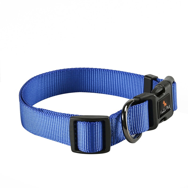 Safety Locked Buckle Dog Collar