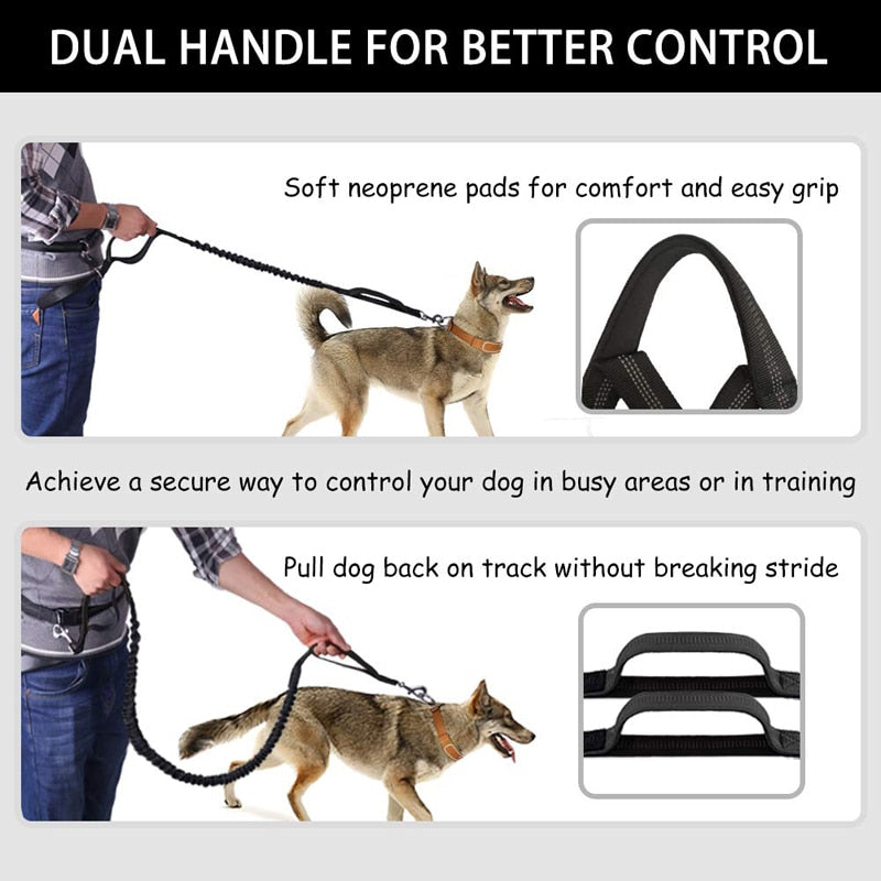 Elastic Bungee Hand Free Dog Lead