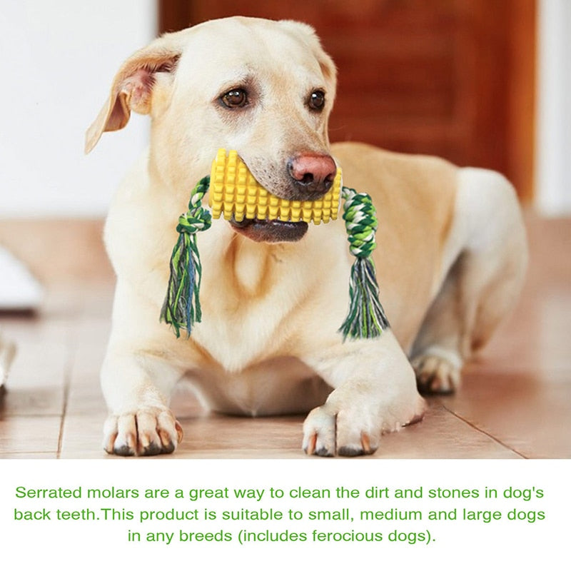 Corn Design Durable Dog Chew Toy