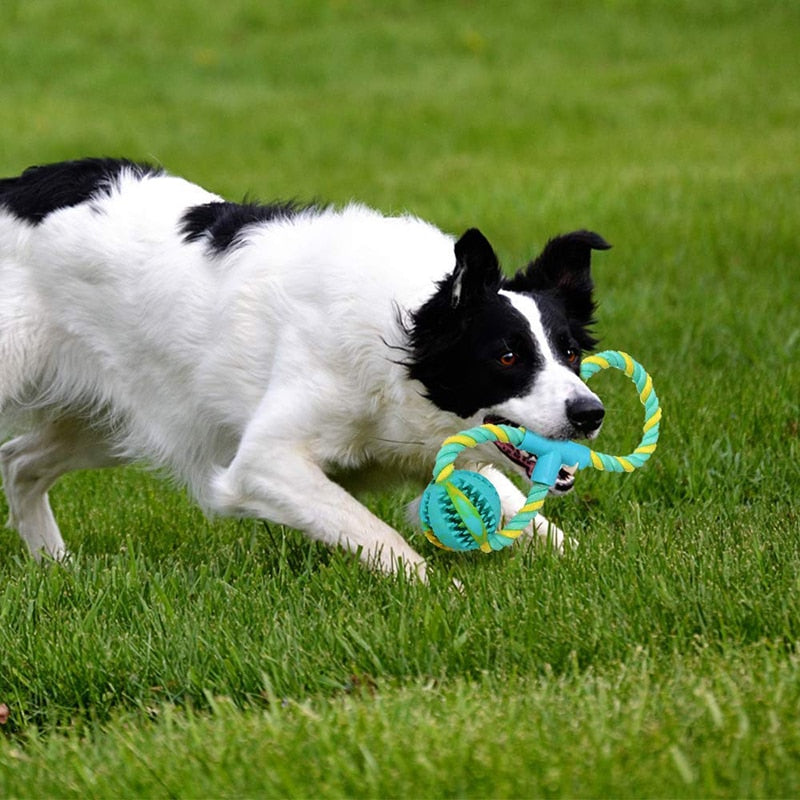 Food Dispensing Dog Rope Toys