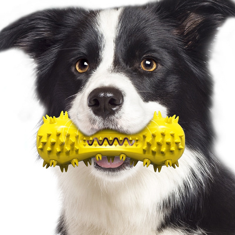 Durable Teeth Cleaning Dog Toys