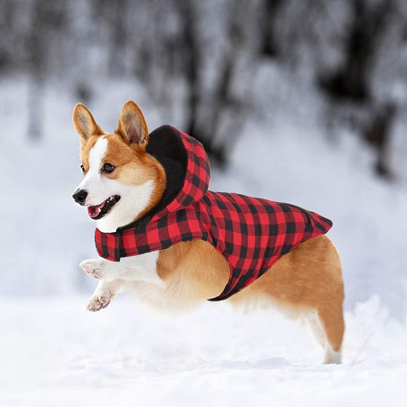 Hooded Warm Classic Plaid Dog Jacket